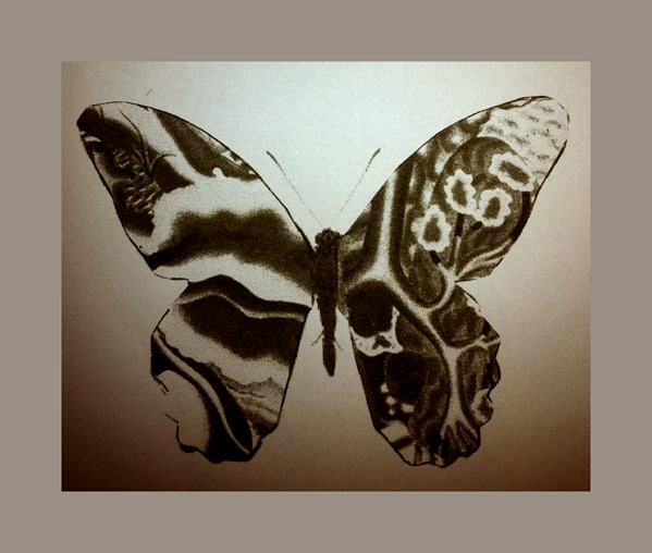 vlinder.S